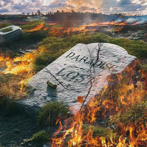 91福利视频免费
